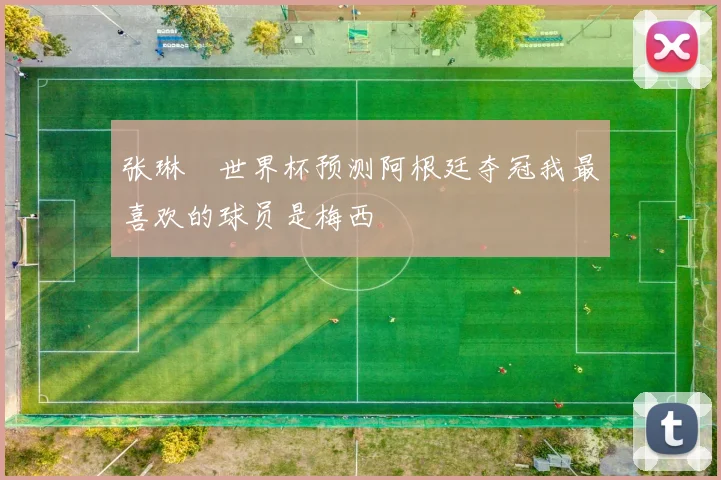 张琳芃世界杯预测阿根廷夺冠我最喜欢的球员是梅西
